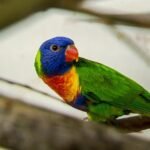 petra friedrich zoo leipzig todesursache