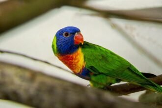 petra friedrich zoo leipzig todesursache